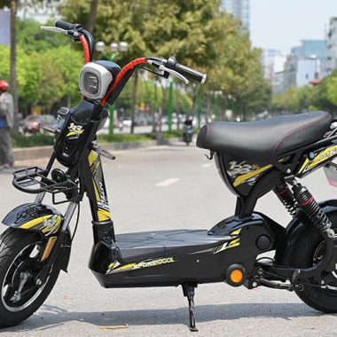 xe dap dien nijia 133c 392 1